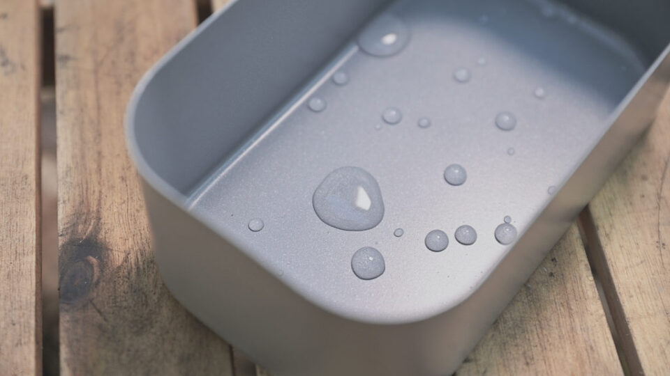 スリップメスティン