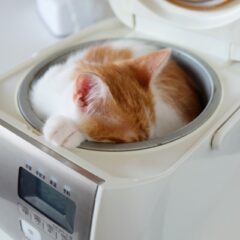 一人暮らしでの炊飯器は何合が最適？ 実は買わない選択肢も...